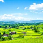 Pemandangan indah desa Coper Ponorogo dengan sawah hijau.