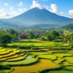 Pemandangan luas Jawa Timur dengan sawah dan gunung.